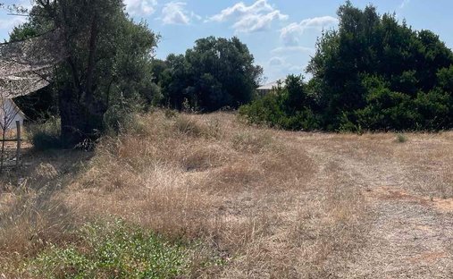 Land in Drosia Municipal Commune, Anthidon, Greece 1