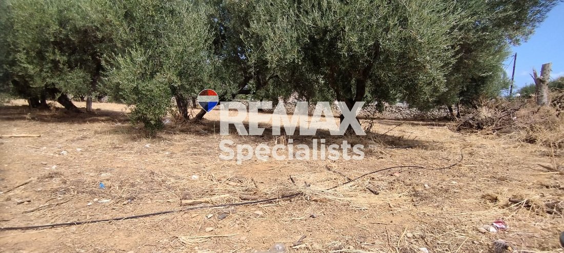 Land in Crete, Greece 4 - 18581875