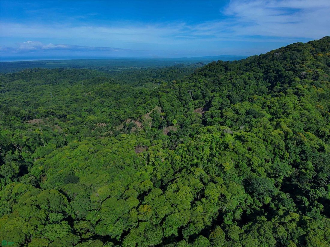 Land in Quepos, Puntarenas Province, Costa Rica 2 - 18332706