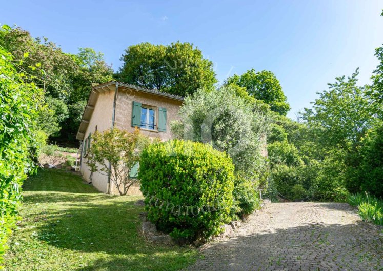 Villa in Couzon-au-Mont-d'Or, Auvergne-Rhône-Alpes, France 2 - 18585263
