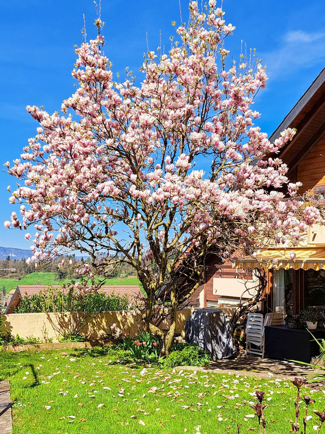 House in Heimberg, Canton of Bern, Switzerland 3 - 18581423