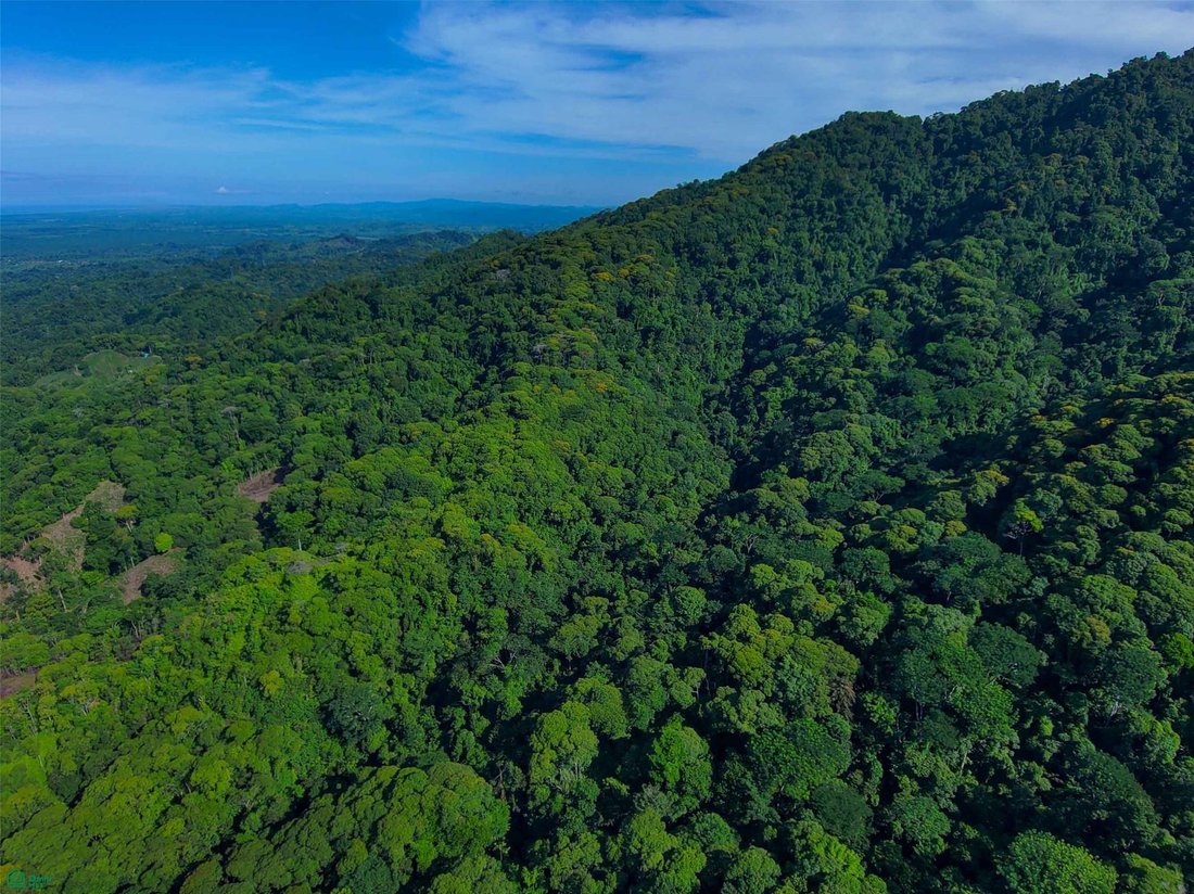 Land in Quepos, Puntarenas Province, Costa Rica 1 - 18332706