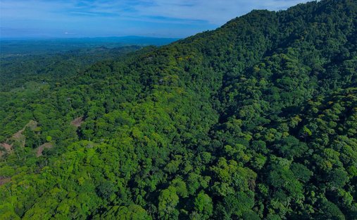 Terrain à Quepos, Puntarenas, Costa Rica 1