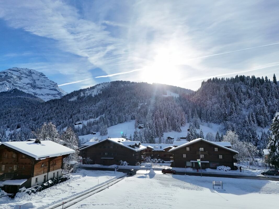 Apartment in Ormont-Dessus, Vaud, Switzerland 2 - 18583382