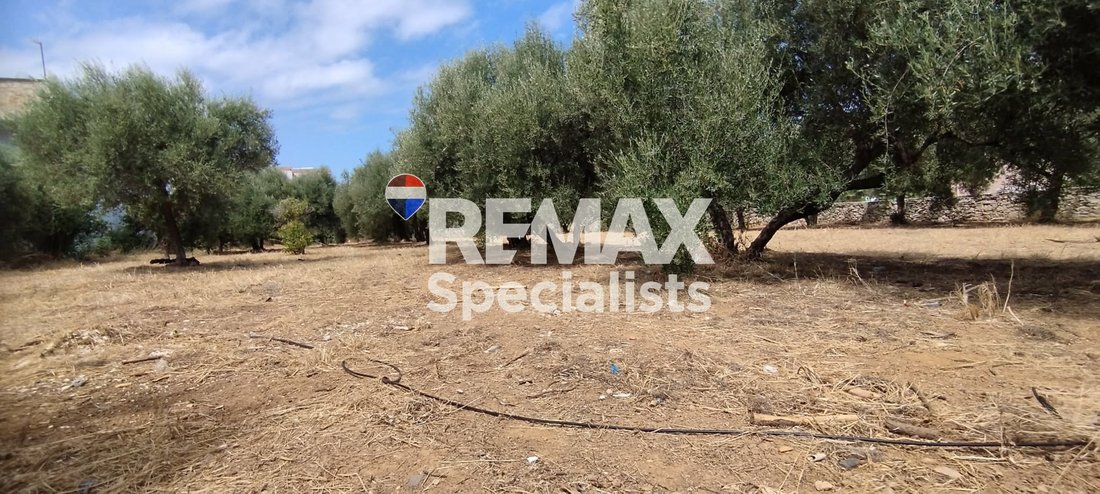 Land in Crete, Greece 5 - 18581875