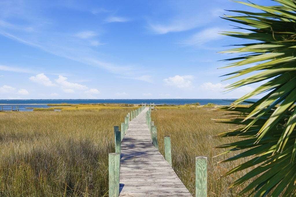 House in Saint George Island, Florida, United States 4 - 18583330