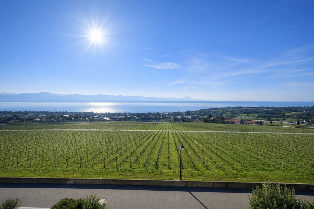 Apartment in Mont-sur-Rolle, Vaud, Switzerland 1 - 18583738