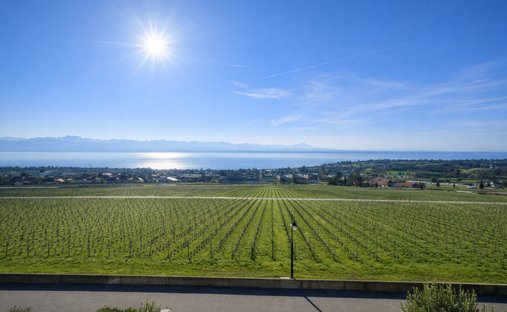 Apartment in Mont-sur-Rolle, Vaud, Switzerland 1
