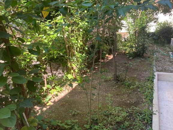Apartment in Collines, Le Cannet, France 1 - 18585210