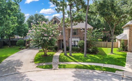House in Humble, Texas, United States 1