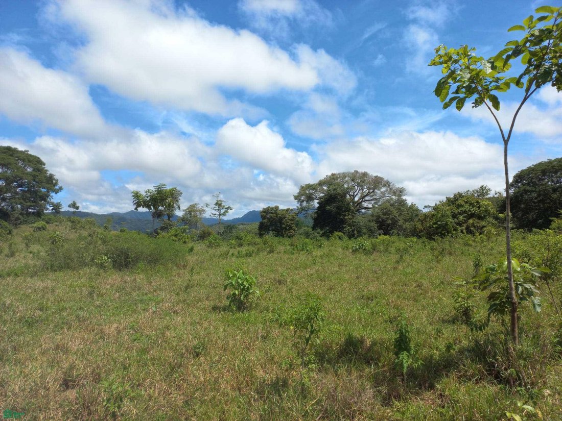 Land in Cóbano, Puntarenas Province, Costa Rica 5 - 18269781