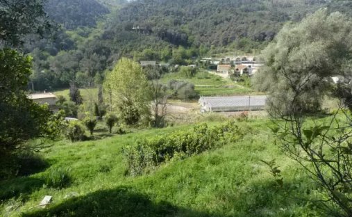 Land in Gorbio, Provence-Alpes-Côte d'Azur, France 1