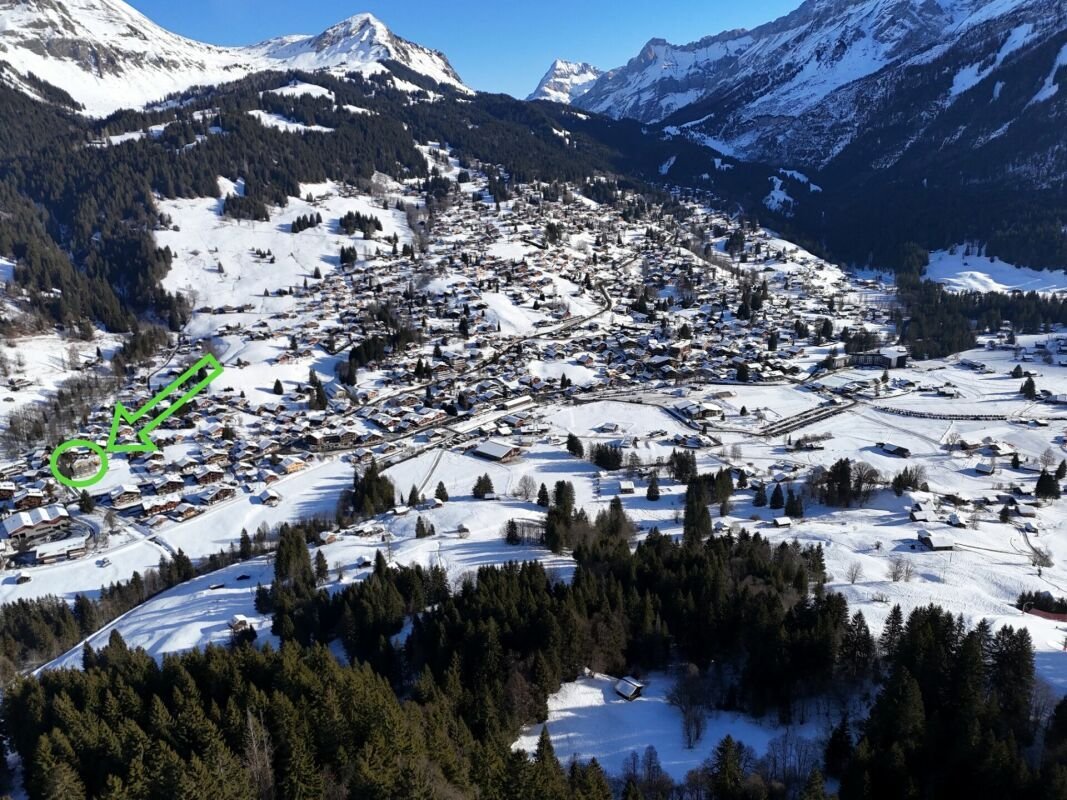 Apartment in Ormont-Dessus, Vaud, Switzerland 4 - 18583382
