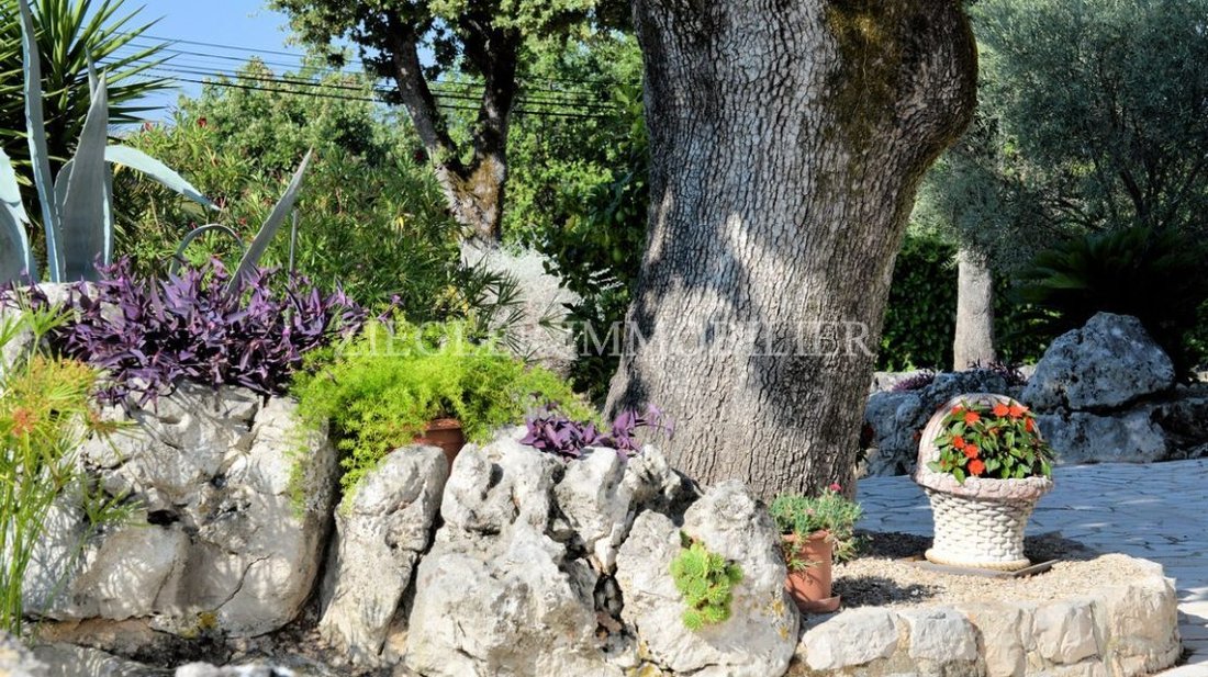 Domaine à Saint-Cézaire-sur-Siagne, Provence-Alpes-Côte d'Azur, France 4 - 18581788