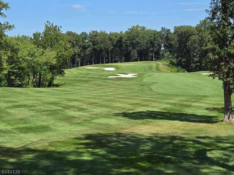 Condo in Basking Ridge, New Jersey, United States 4 - 18422689