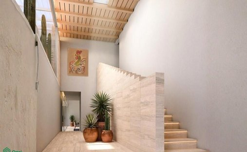 House in Torreón, Coahuila, Mexico 1