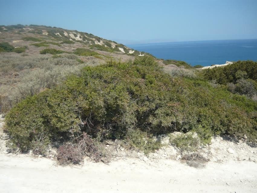 Land in Community of Pachia Ammos, Ierapetra, Greece 2 - 18584456