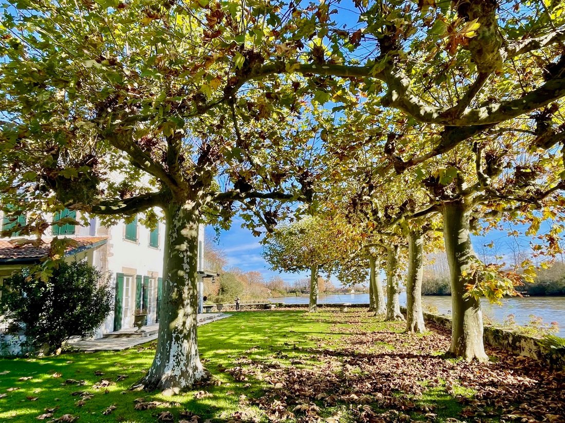 House in Saint-Martin-de-Seignanx, Nouvelle-Aquitaine, France 5 - 16625533