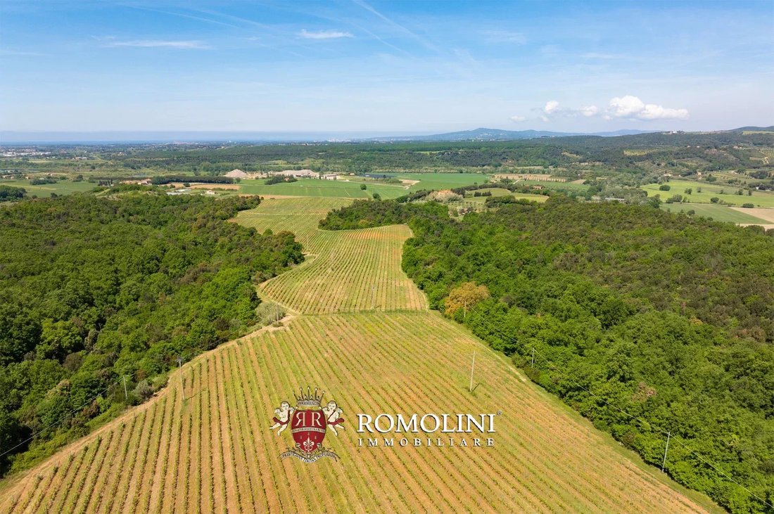 Estate in Montescudaio, Tuscany, Italy 4 - 18582686