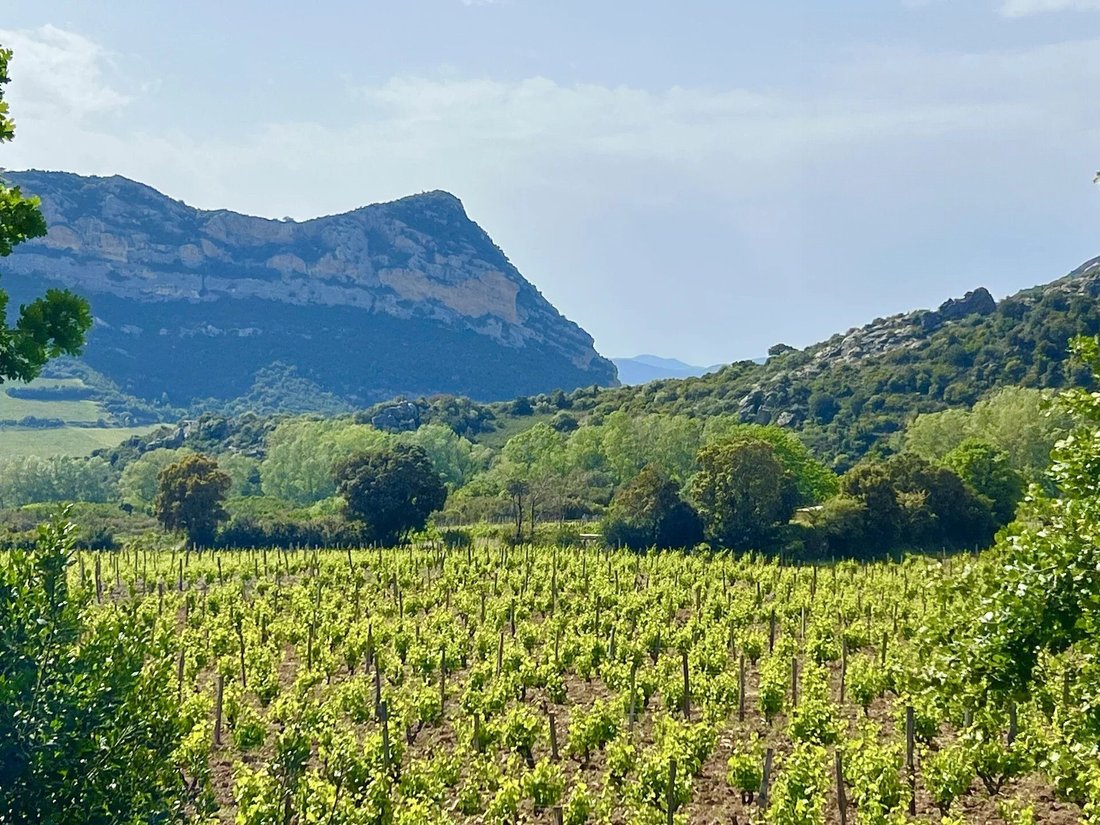 House in Saint-Florent, Corsica, France 3 - 18586258