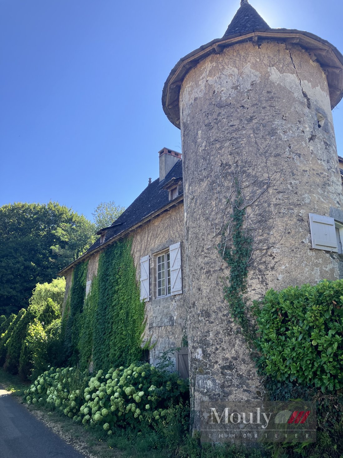 Castle in Aynac, Occitania, France 4 - 18581868