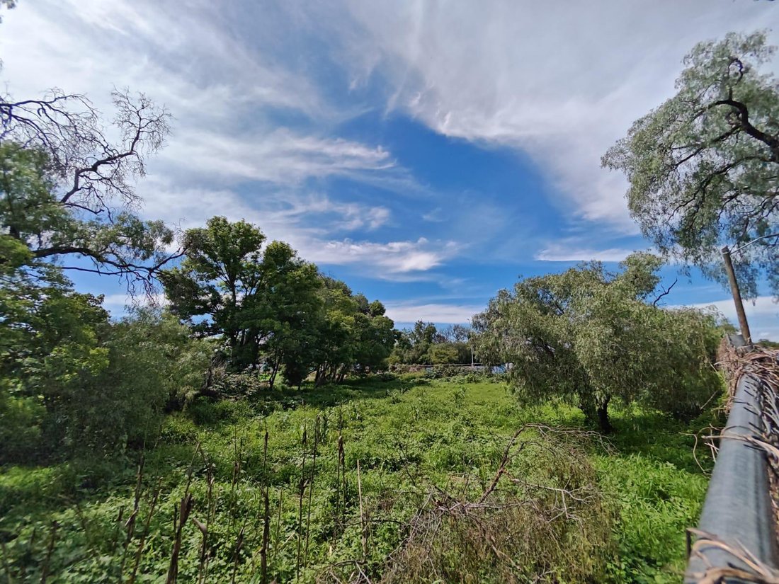 Land in San Juan del Río, Querétaro, Mexico 5 - 18583097