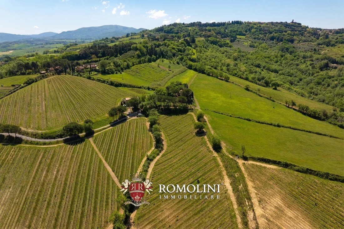Estate in Montescudaio, Tuscany, Italy 1 - 18582686