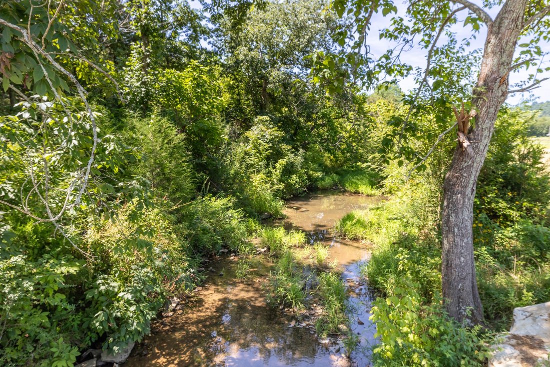Farm Ranch in Lewisburg, Tennessee, United States 5 - 18581550