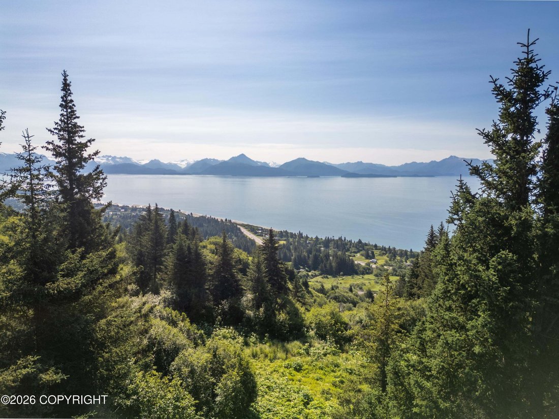 House in Homer, Alaska, United States 2 - 18583753