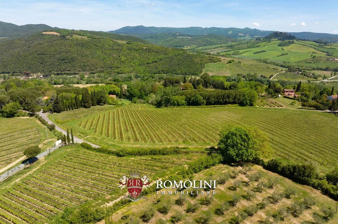 Estate in Montescudaio, Tuscany, Italy 5 - 18582686