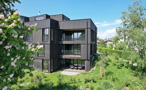 Apartment in Oberwil, Basel-Landschaft, Switzerland 1