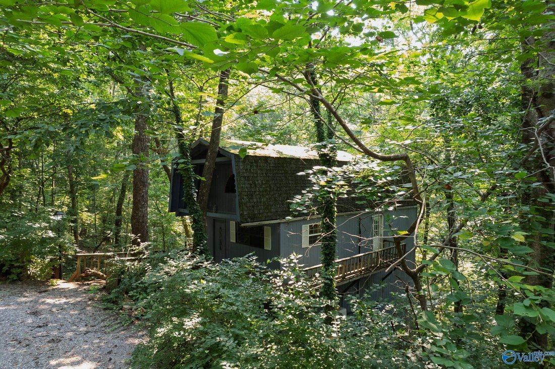 Trenton, Georgia, United States 5 - 18583988