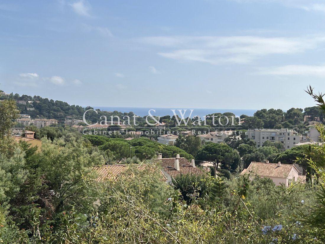 Sud, Cavalaire-sur-Mer, France 1 - 18585234