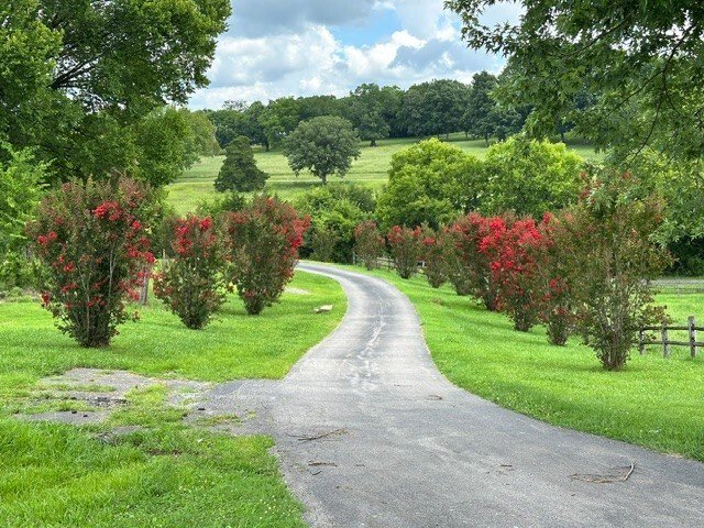 House in Belfast, Tennessee, United States 3 - 17723692