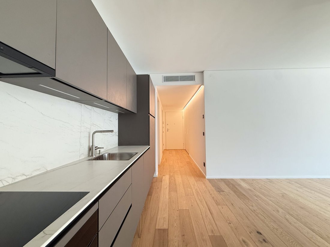 Apartment in Paradiso, Ticino, Switzerland 3 - 18580746