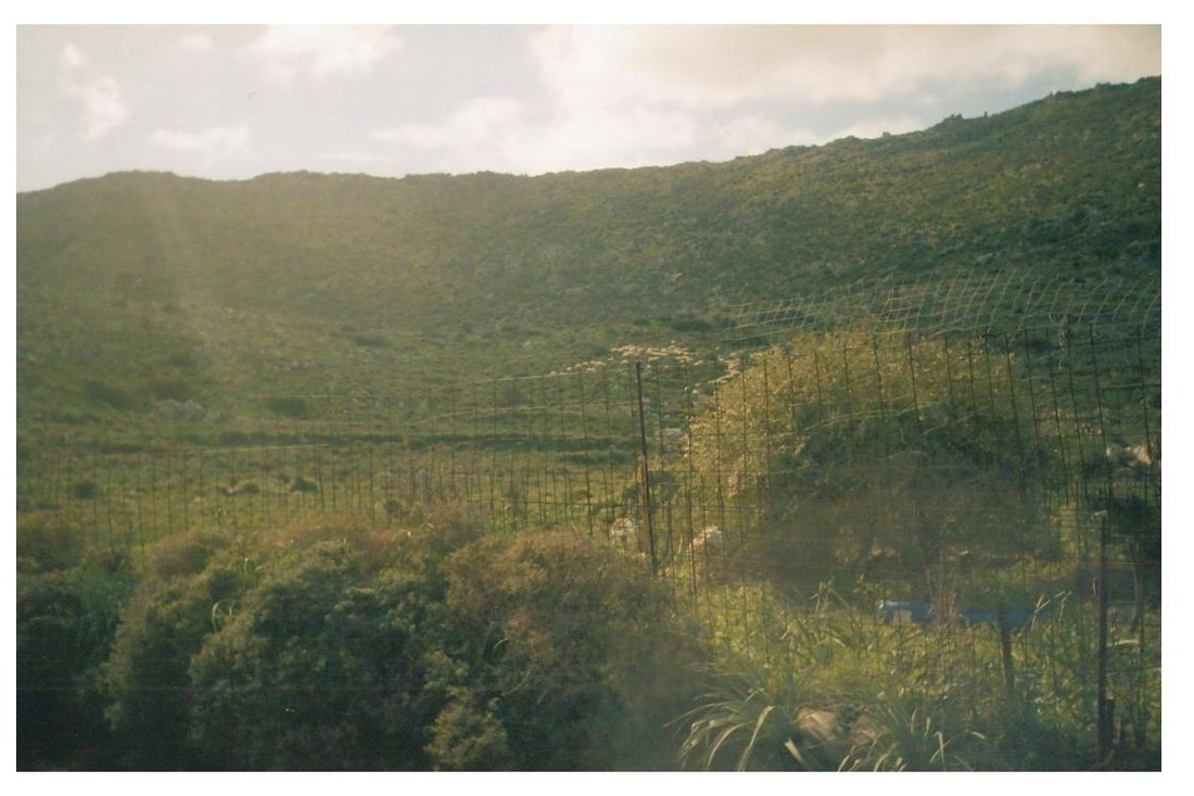 Land in Apokoronas, Greece 2 - 18584462