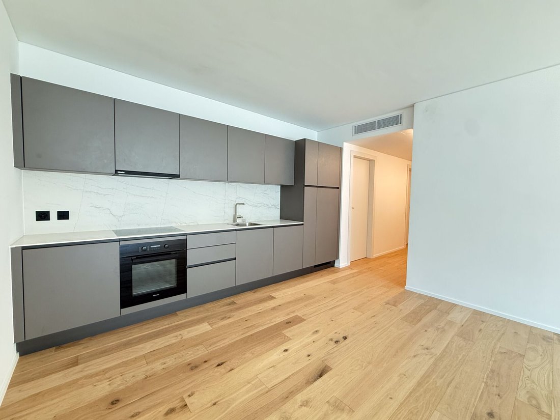 Apartment in Paradiso, Ticino, Switzerland 4 - 18580746