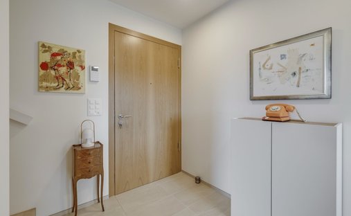 Apartment in Reinach, Basel-Landschaft, Switzerland 1