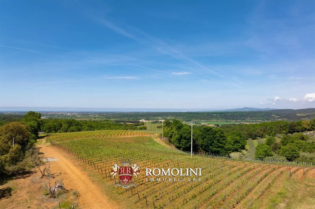 Estate in Montescudaio, Tuscany, Italy 3 - 18582686