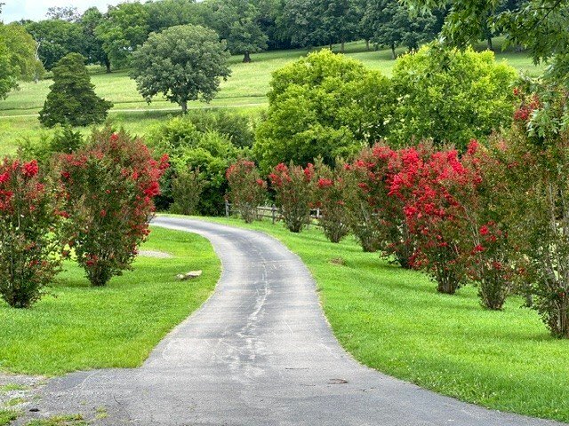 Land in Belfast, Tennessee, United States 2 - 17957372