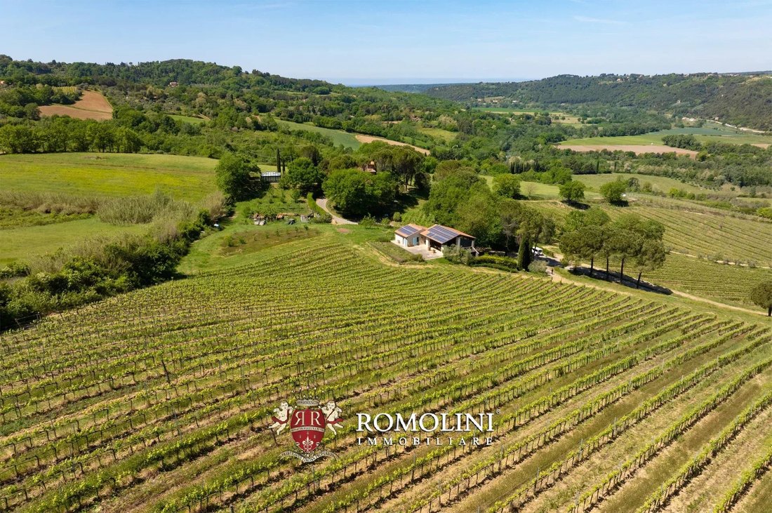 Estate in Montescudaio, Tuscany, Italy 2 - 18582686