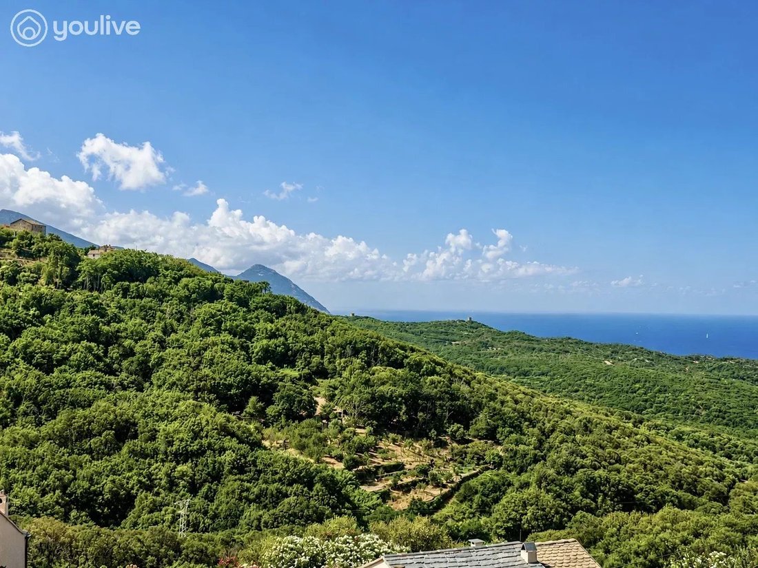 House in Centuri, Corsica, France 1 - 18582252