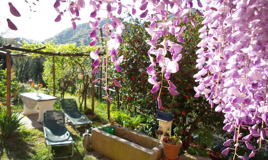 Land in Tresa, Ticino, Switzerland 4 - 18580611