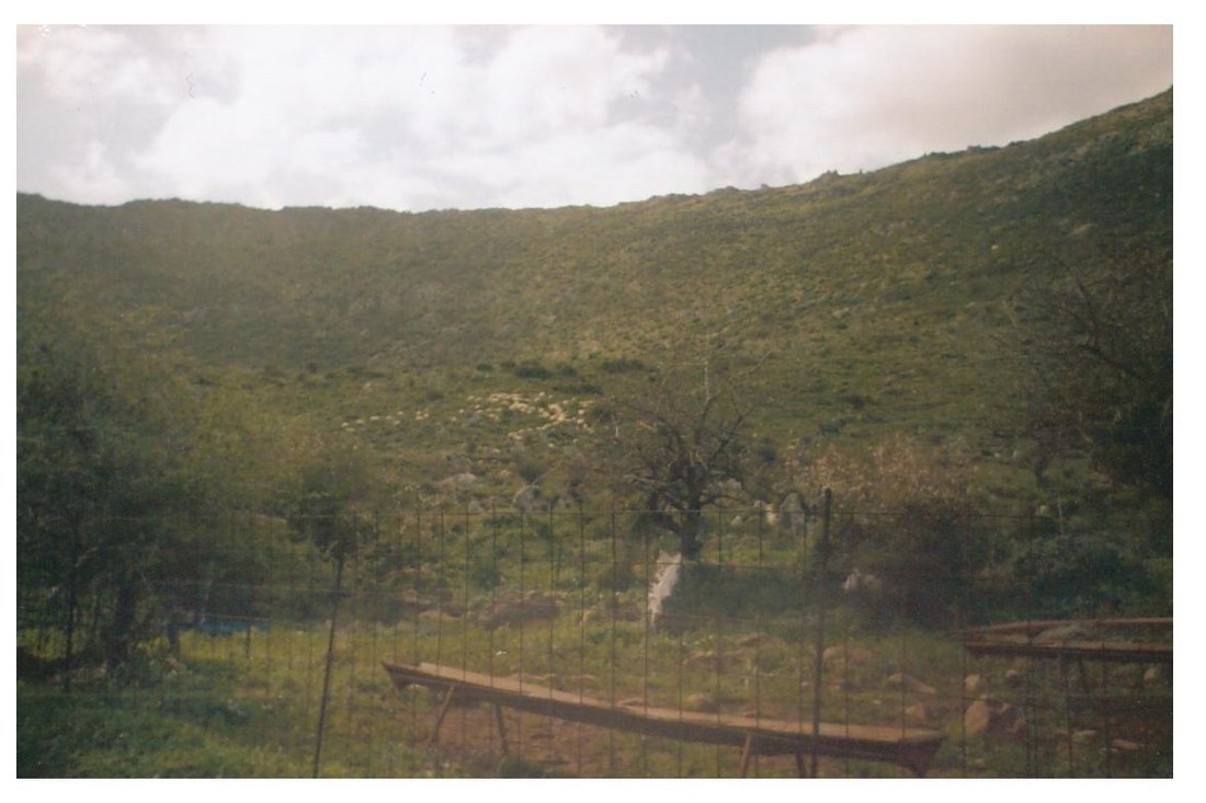 Land in Apokoronas, Greece 4 - 18584462