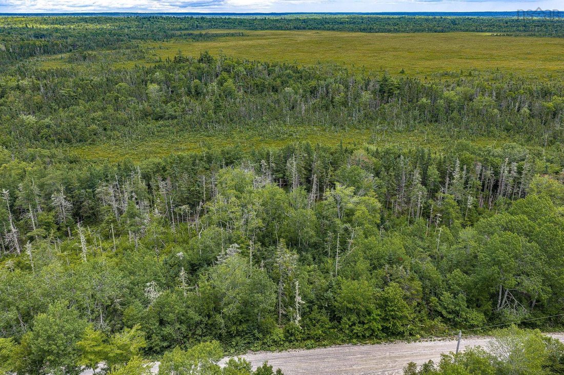 Land in Allendale, Nova Scotia, Canada 2 - 18584770
