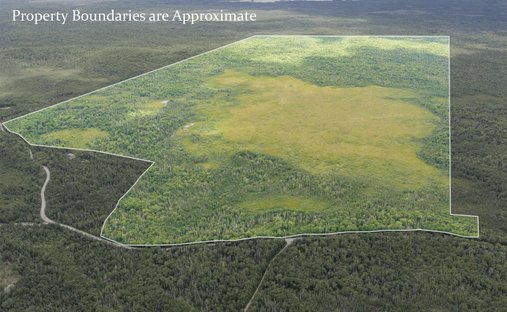 Land in Allendale, Nova Scotia, Kanada 1