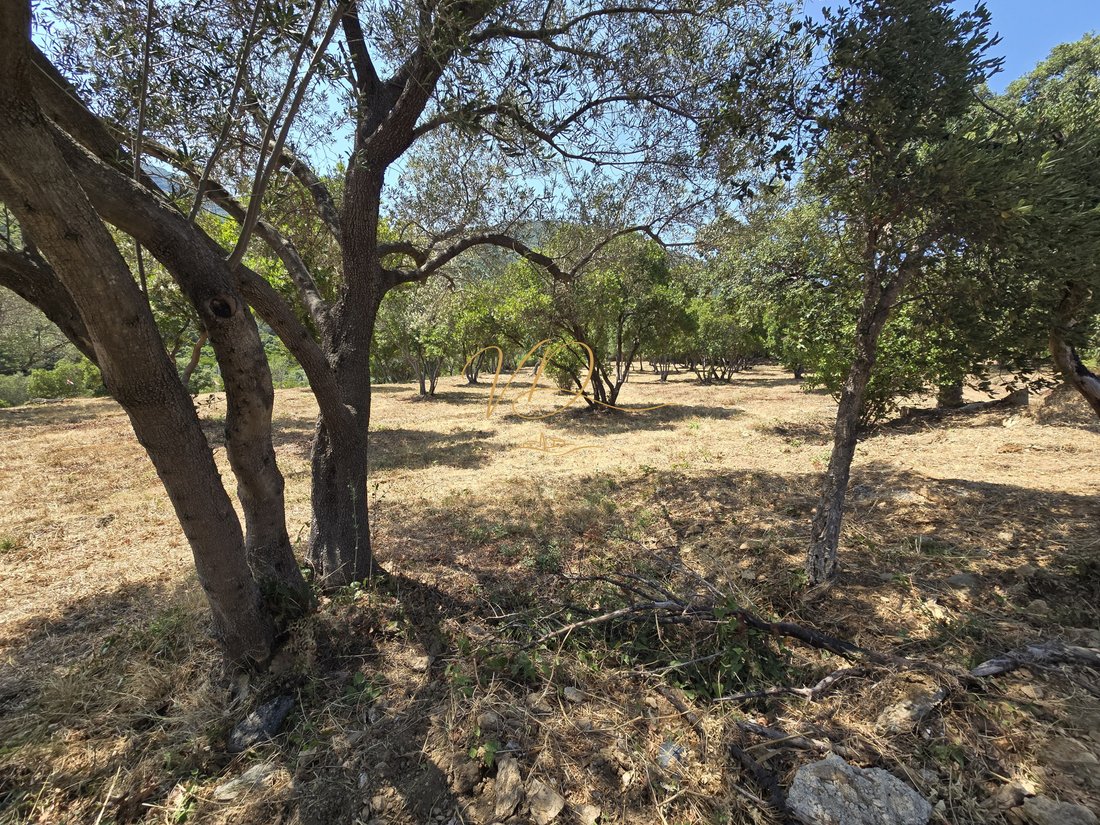 Land in Sud, Cavalaire-sur-Mer, France 4 - 18585213