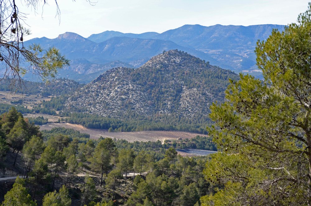 Terreno a Mula, Murcia, Spagna 5 - 18585351