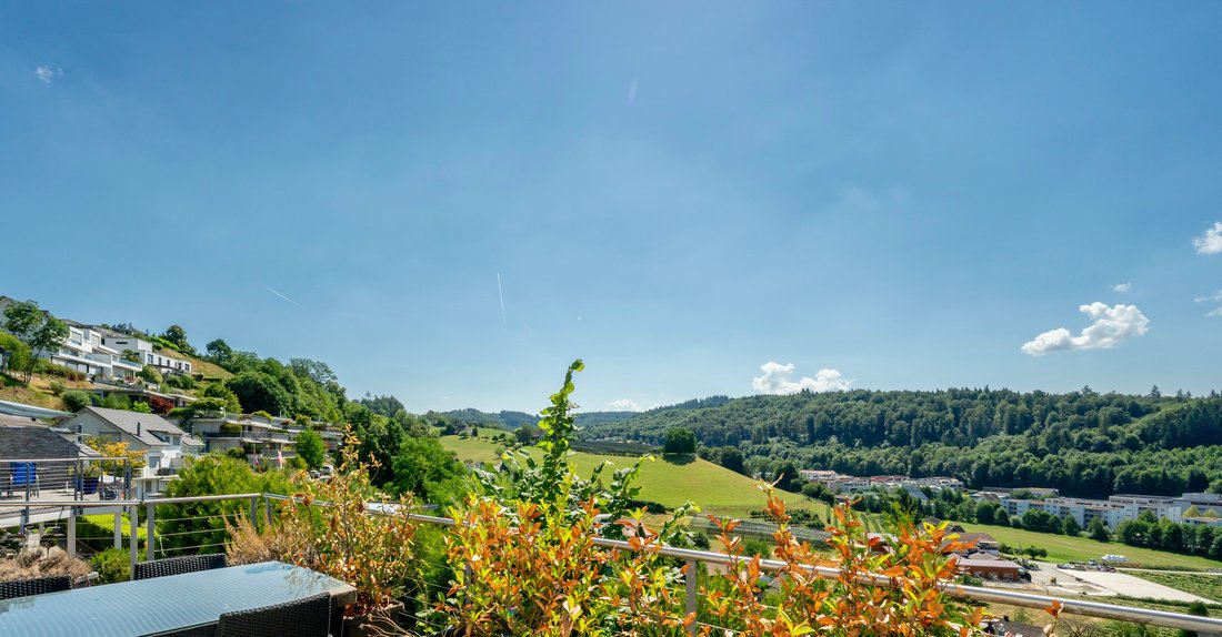House in Oftringen, Aargau, Switzerland 1 - 18580797