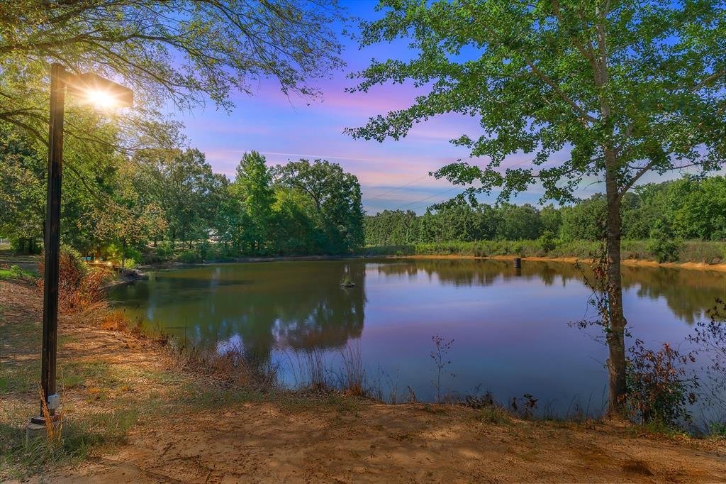 House in Grand Saline, Texas, United States 4 - 18584957